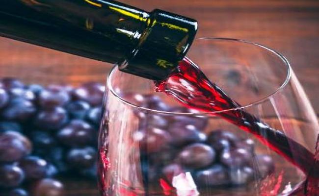 वाइनरी उद्योग को बढ़ावा देने के लिए किसानों का लेंगे साथ