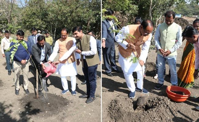 मुख्यमंत्री चौहान ने स्मार्ट उद्यान में रोपा अशोक और केशिया का पौधा