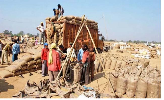 रायपुर : प्रदेश में किसानों से 11.74 लाख मीट्रिक टन धान खरीद