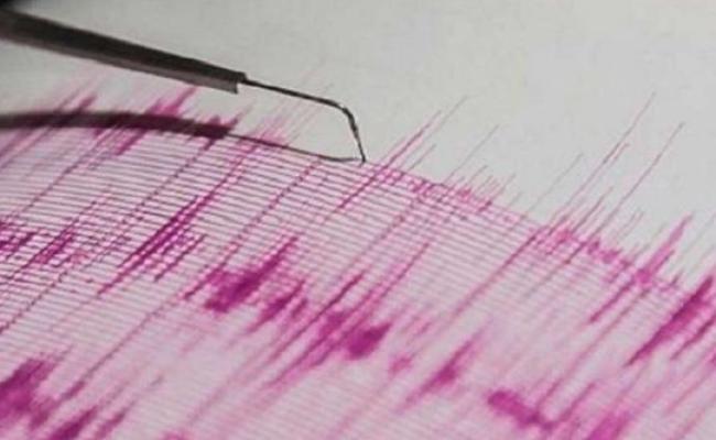 न्यूजीलैंड के उत्तरी द्वीप में भूकंप के जोरदार झटके