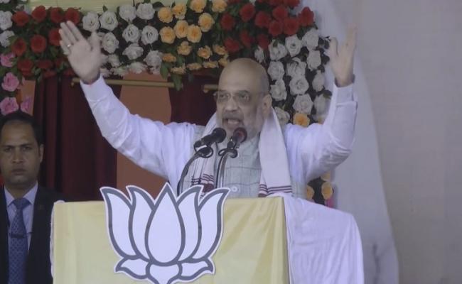 कोरबा : ढाई-ढाई साल की लड़ाई में छत्तीसगढ़ का विकास प्रभावित : शाह