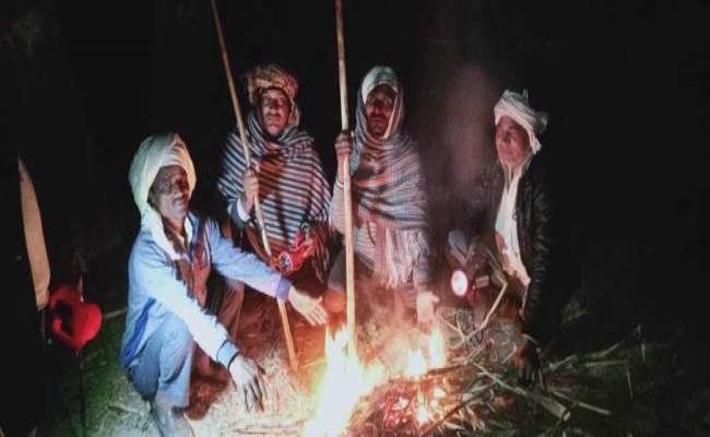 पूस की रात में जिंदगी दांव पर लगाकर फसल की रखवाली कर रहे किसान