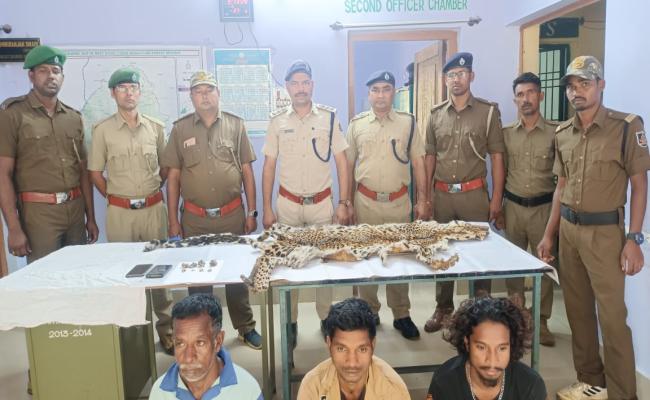 मालकानगिरि में तेंदुए की खाल बरामद, तीन गिरफ्तार