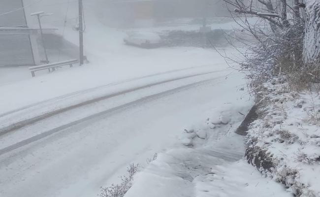 हिमाचल प्रदेश में बर्फबारी, ऊपरी शिमला में आवागमन प्रभावित