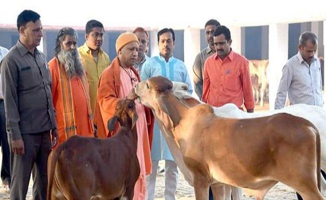 डेयरी एवं पशुधन में 35 हजार करोड़ से ज्यादा का निवेश, एक लाख लोगों को मिलेगी नौकरियां