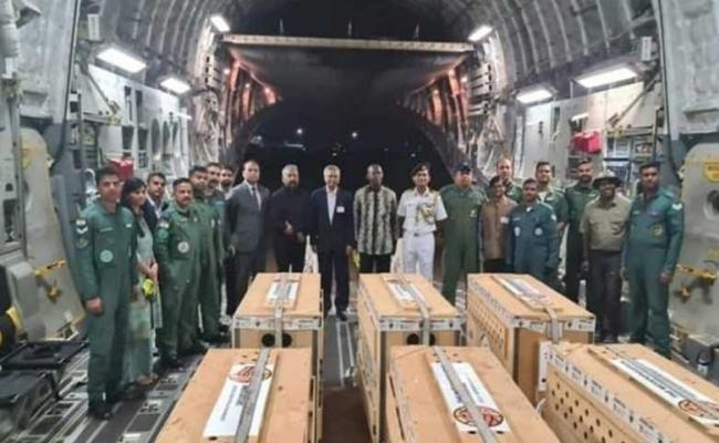 दक्षिण अफ्रीका से भारत पहुंचे 12 चीते, मुख्यमंत्री और केंद्रीय मंत्री ने कूनो पार्क में छोड़ा