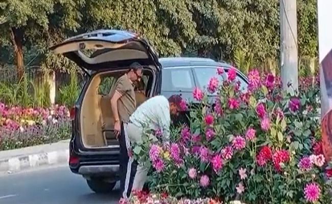 गुरुग्राम: 40 लाख की कार से गमले चुराने वाला गिरफ्तार