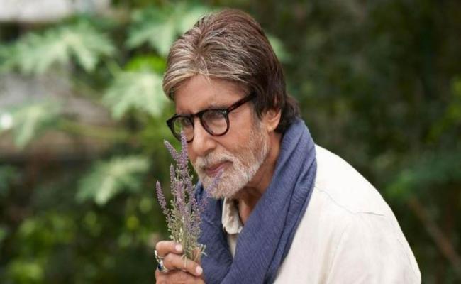 फिल्म 'प्रोजेक्ट के' के सेट पर घायल हुए अमिताभ बच्चन, शूटिंग रद्द