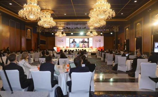 उदयपुर : जी-20 समूह के प्रतिनिधियों ने की विकास लक्ष्यों के लिए वित्त जुटाने पर चर्चा