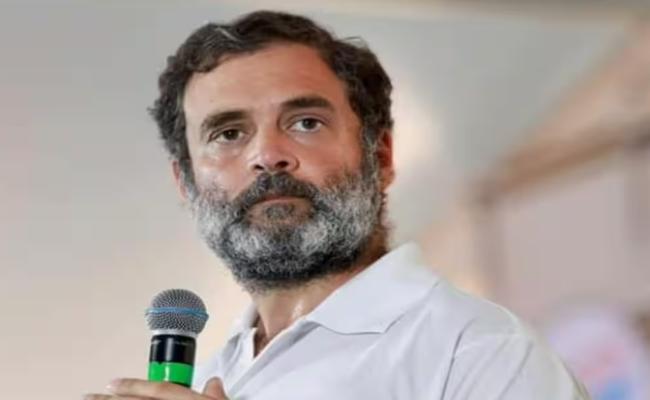 राहुल गांधी ने होटल मालिक से कहा- मेरे साथ फोटो खिंचवाने से होगा तुम्हारा नुकसान