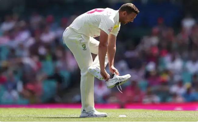 ऑस्ट्रेलियाई तेज गेंदबाज जोश हेजलवुड डब्ल्यूटीसी फाइनल के लिए फिट घोषित