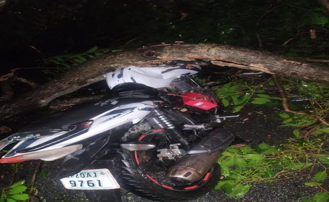 बिजनौर में आई आंधी से पेड़ गिरा, युवक की दबकर मौत