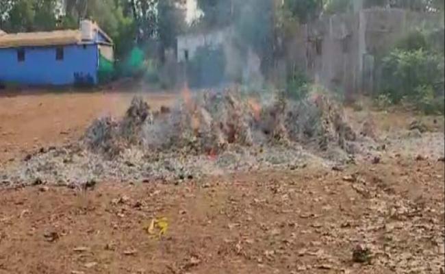 नक्सलियों ने 150 बोरी तेंदूपत्ता को आग के हवाले किया