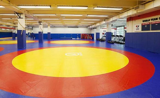 डब्ल्यूएफआई के बहुप्रतीक्षित चुनाव 6 जुलाई को, परिणाम भी उसी दिन होंगे घोषित