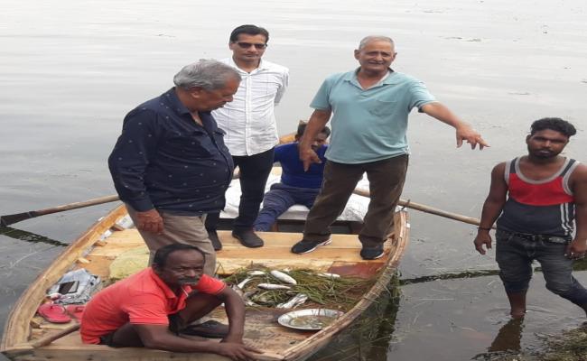 उदयपुर के फतहसागर में एक लाख से अधिक मछलियों के मरने की आशंका