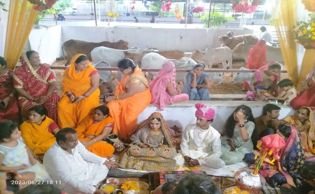 पूजा-मीनाक्षी को मिला परिवार, गोशाला समिति ने किए पीले हाथ