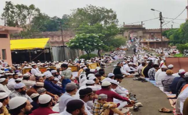 भोपाल: राजधानी में ईद की नमाज के बाद दी जा रही कुर्बानी