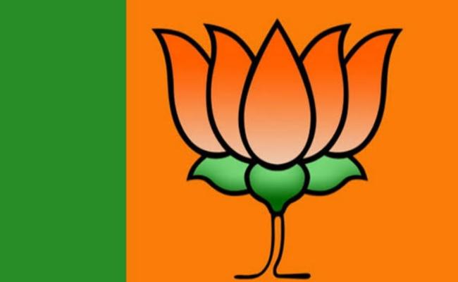 भाजपा ने की राज्यसभा की 3 सीटों के लिए उम्मीदवारों की घोषणा