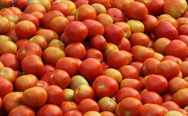 केंद्र सरकार 14 जुलाई से दिल्ली-एनसीआर में बेचेगी सस्ता टमाटर