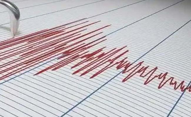 महाराष्ट्र: हिंगोली जिले में दो बार भूकंप के झटके, कोई हताहत नहीं