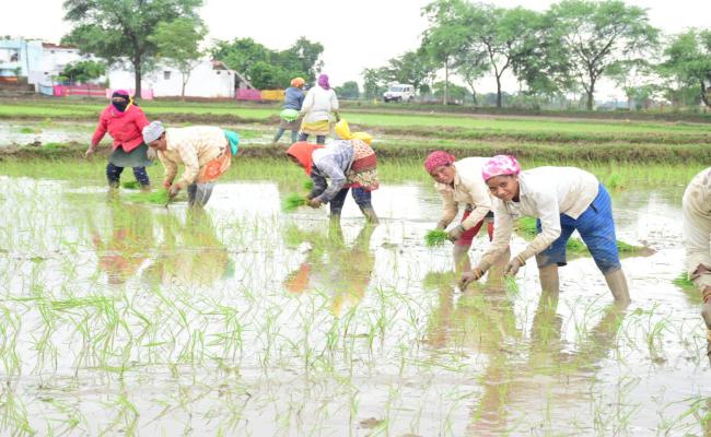 रायपुर : नीति आयोग की डेल्टा रैंकिंग में छत्तीसगढ़ के राजनांदगांव जिला तीसरे स्थान पर