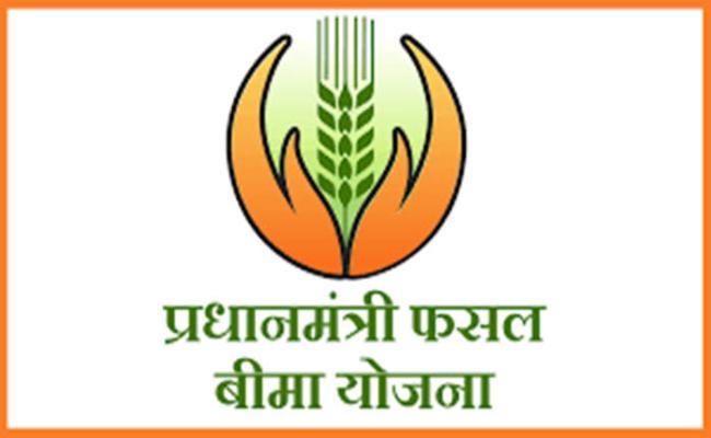 प्रधानमंत्री फसल बीमा योजना : 31 जुलाई तक किसान करवा सकते हैं फसल बीमा