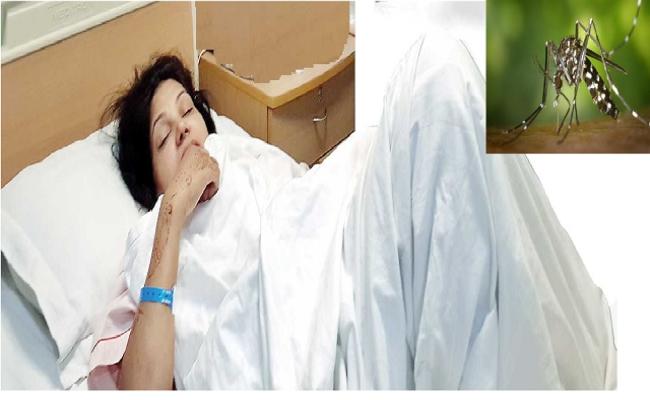 मुर्शिदाबाद मेडिकल कॉलेज व अस्पताल में डेंगू संक्रमित 14 नये मरीज भर्ती