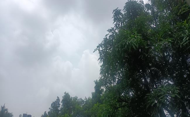 उत्तराखंड में 05 अगस्त तक येलो अलर्ट, 03 बॉर्डर मार्ग सहित 160 सड़कें बाधित