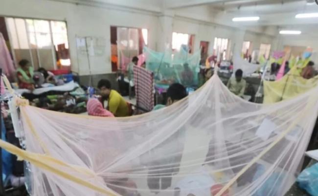 बांग्लादेश: 24 घंटे में डेंगू से 12 मरीजों की मौत, इस वर्ष सर्वाधिक 352 लोग अबतक जान गंवा चुके हैं