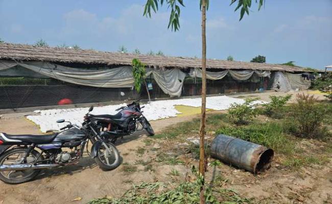 कैथल में अवैध पटाखा फैक्ट्री चला रहा शमशाद गिरफ्तार