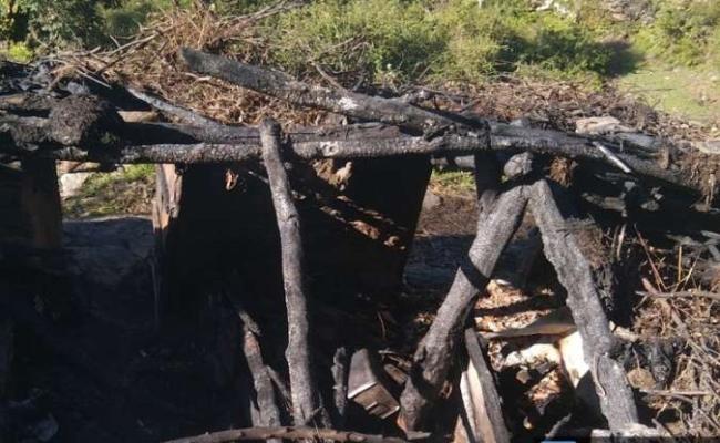 गौशाला में लगी आग, दो मवेशी जलकर मरे