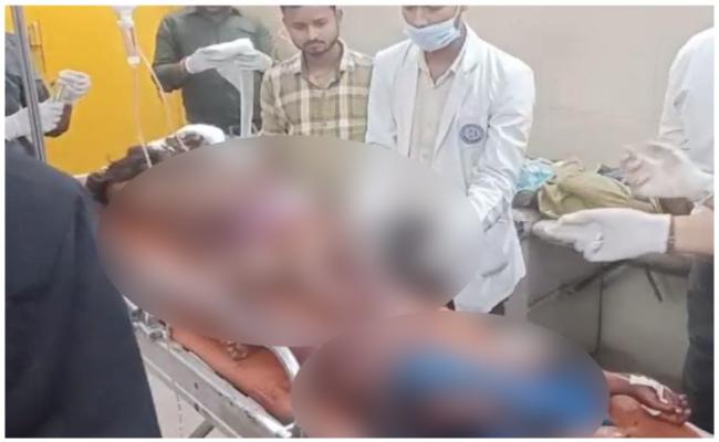 सड़क हादसे में दंपत्ति की मौत, छह बच्चे घायल