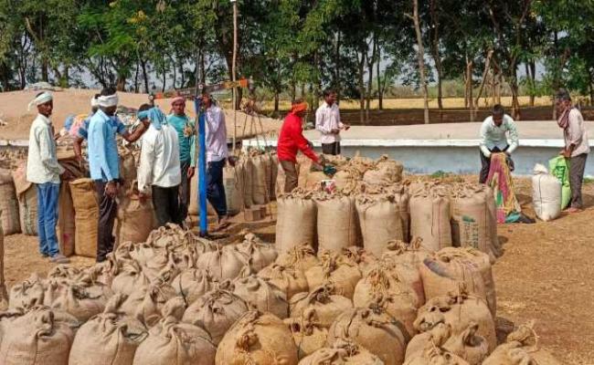 बायोमेट्रिक्स के अभाव में मैनुअल पद्धति से होगी धान की खरीद
