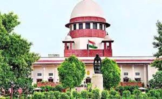 सुप्रीम कोर्ट ने पंजाब, दिल्ली, उत्तर प्रदेश और राजस्थान में पराली जलाने पर रोक लगाई