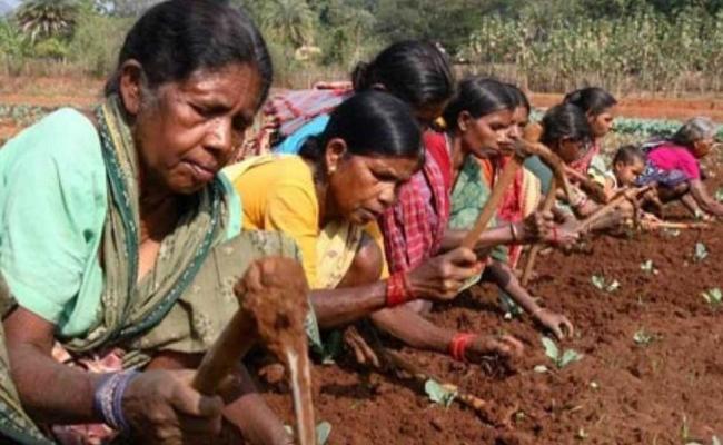 मप्र में सरकारी योजनाओं के कारण गरीबी रेखा से बाहर आए 1.30 करोड़ लोग
