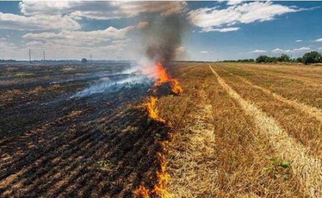 पंजाब में दीपावली के पटाखों की आड़ में किसानों ने जमकर जलाई पराली