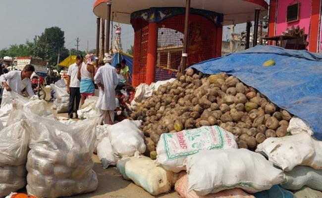 बिहार में नारियल व्यवसाय का हब बना बेगूसराय, आते हैं दूर-दूर से कारोबारी