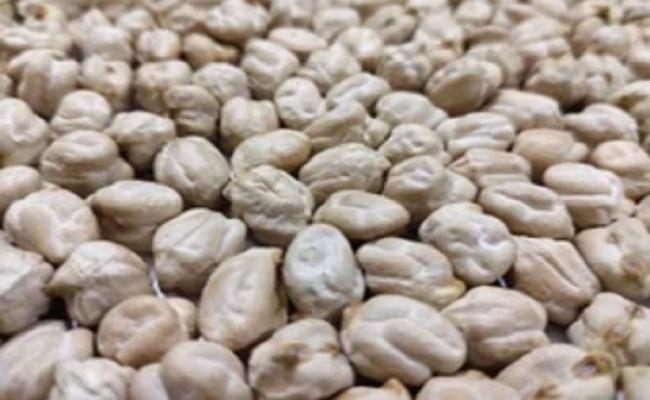 उज्जैन: मंडी में मुहूर्त के सौदे, डॉलर चना की नीलामी 16123