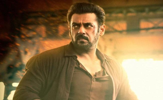 टाइगर फ्रैंचाइज़ी मेरे सबसे पसंदीदा ब्रांडों में से एक: सलमान खान