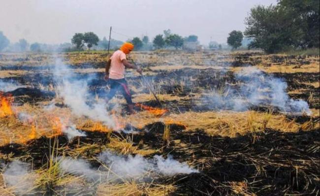 फतेहाबाद: पराली जलाने के आरोप में आठ किसानों पर एफआईआर
