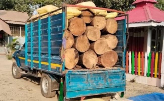 भूसा से लदी लॉरी से लाखों का लकड़ी जब्त