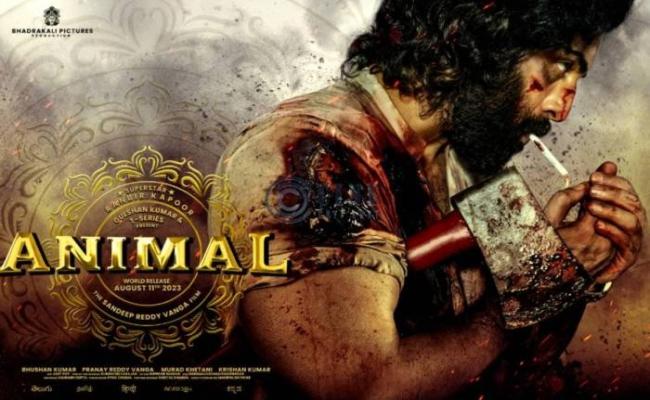 बॉक्स ऑफिस पर फिल्म 'एनिमल' का जलवा, भारत में 240 करोड़ से ज्यादा की कमाई
