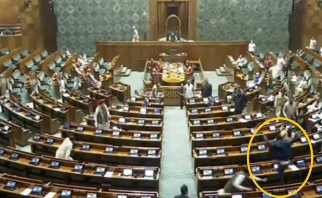 लोकसभा में दो व्यक्तियों ने लगाई दर्शक दीर्घा से छलांग, कार्यवाही स्थगित