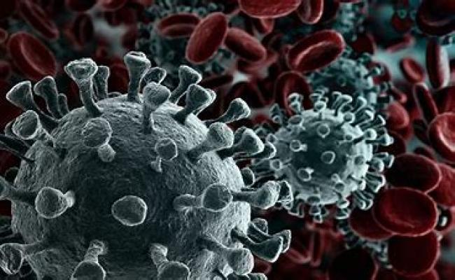 देश में कोरोना के 761 नए मामले, 12 की मौत