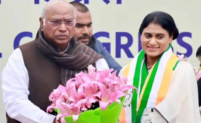 कांग्रेस ने वाईएस शर्मिला रेड्डी को आंध्र प्रदेश का अध्यक्ष नियुक्त किया