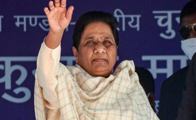 लोस चुनाव : समाजवादी पार्टी का मुसलमानों से कोई सरोकार नहीं : मायावती