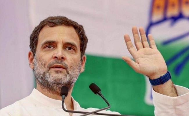राहुल गांधी आज मप्र के चुनावी दौरे पर, सतना में आमसभा को संबोधित करेंगे