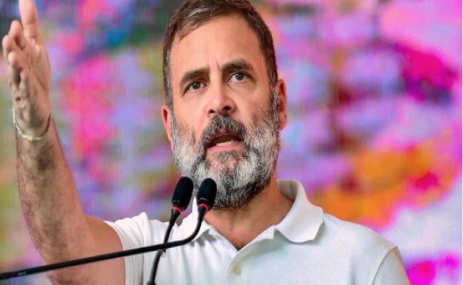 राहुल गांधी आज मप्र के चुनावी दौरे पर, भिण्ड में आमसभा को करेंगे संबोधित