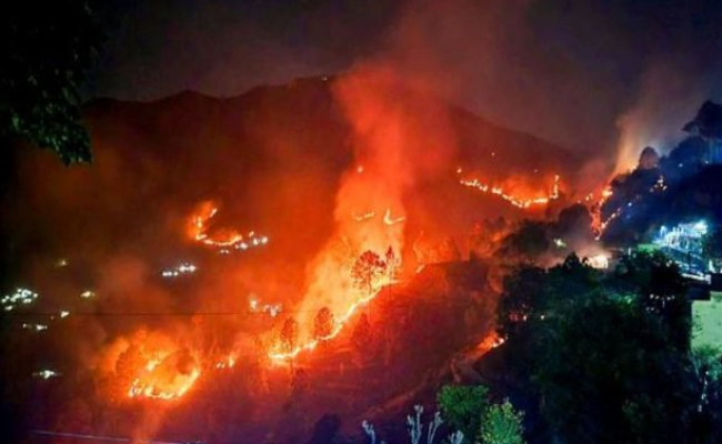 अल्मोड़ा में जिंदा जले वन विभाग के 4 कर्मचारी, चार की हालत गंभीर