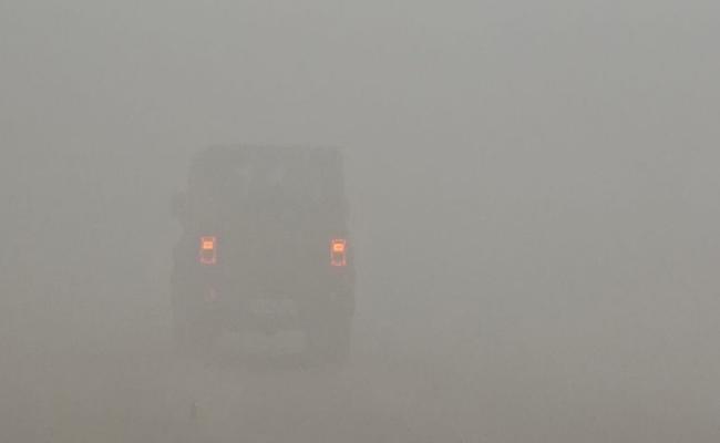 दिल्ली-एनसीआर में घना कोहरा, रेल और हवाई यातायात प्रभावित